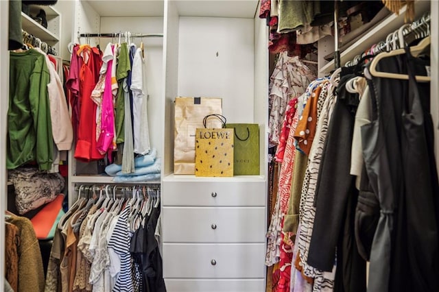 view of walk in closet