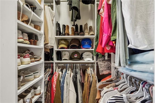 view of spacious closet