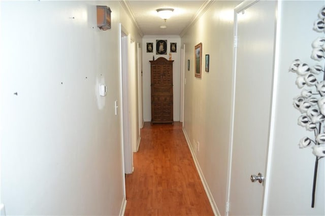 hallway featuring hardwood / wood-style flooring and ornamental molding