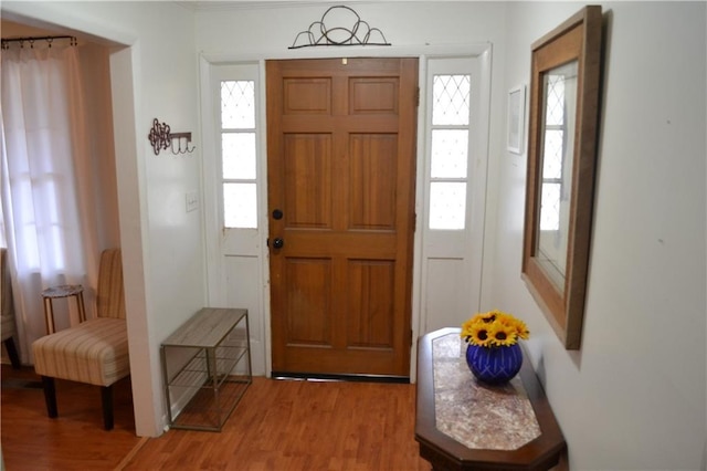 foyer featuring wood-type flooring