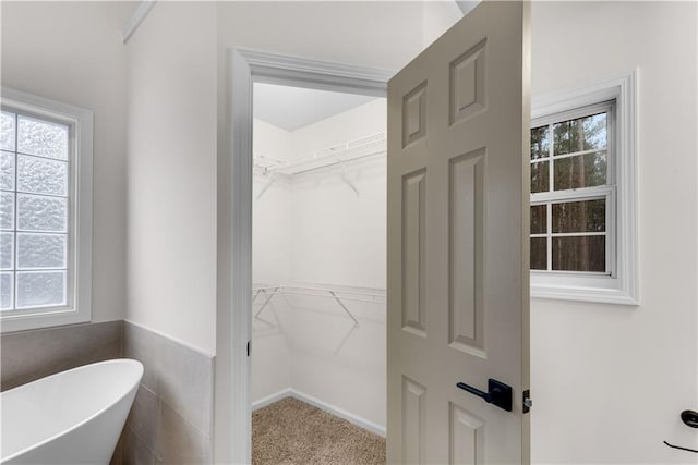 bathroom with a freestanding bath and a walk in closet