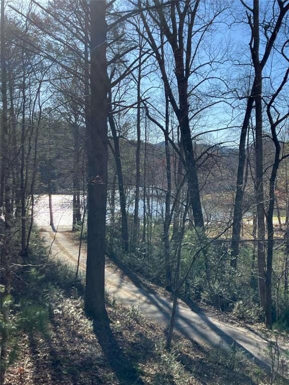 68 Star Lake Ln, Sautee Nacoochee, GA 30571 - water view with a forest
