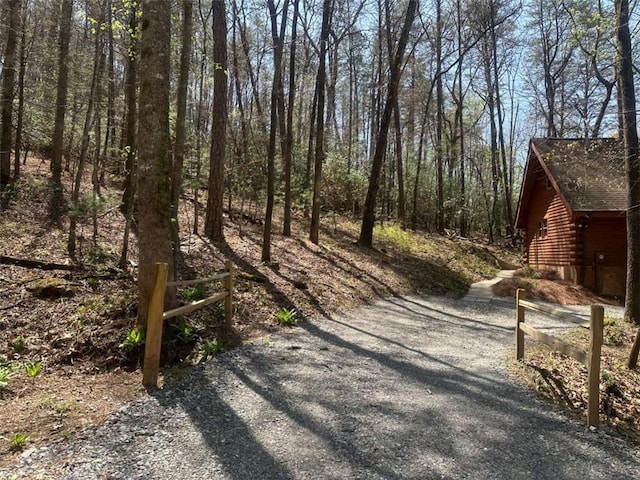 68 Star Lake Ln, Sautee Nacoochee, GA 30571 - view of road