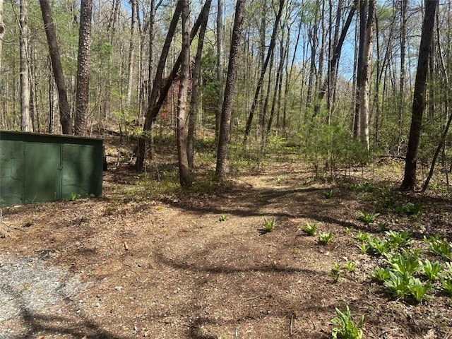 68 Star Lake Ln, Sautee Nacoochee, GA 30571 - view of yard