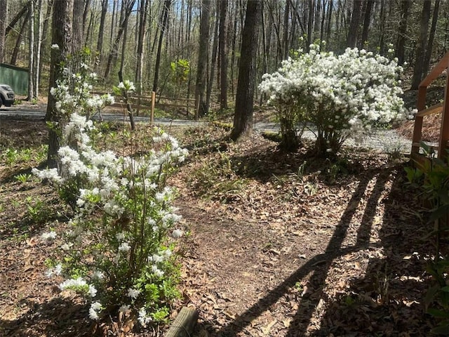 68 Star Lake Ln, Sautee Nacoochee, GA 30571 - view of wooded area