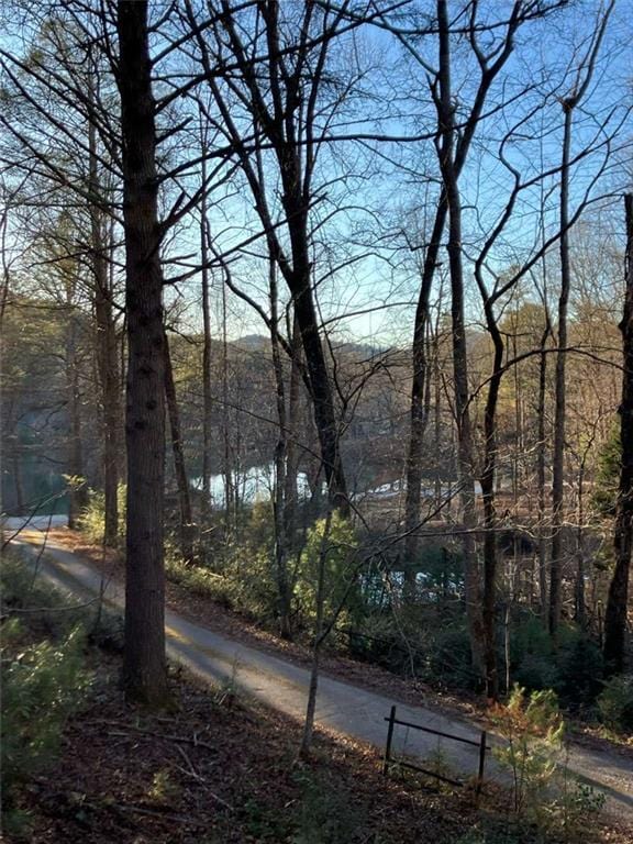 68 Star Lake Ln, Sautee Nacoochee, GA 30571 - water view with a forest