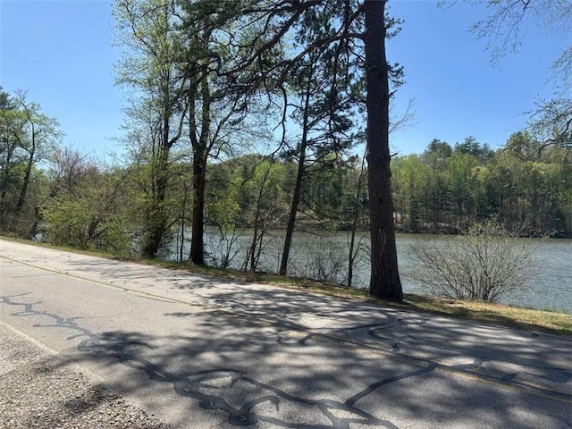 68 Star Lake Ln, Sautee Nacoochee, GA 30571 - view of asphalt street with a forest view and a water view