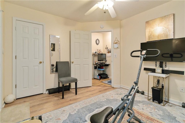 workout room featuring light hardwood / wood-style floors and ceiling fan