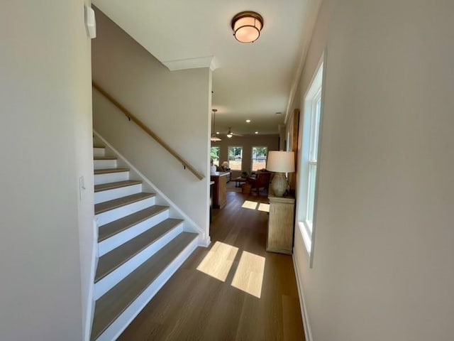120 Winsome Way, Woodstock, GA 30188 - entrance foyer featuring wood finished floors, stairs, and a ceiling fan