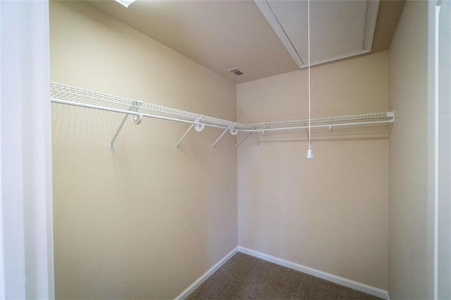 walk in closet with carpet