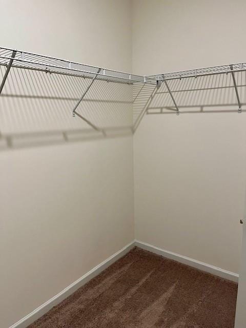 spacious closet with dark colored carpet