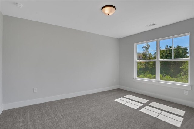 unfurnished room with carpet flooring