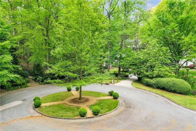 2562 Red Valley Rd, Atlanta, GA 30305 - surrounding community with curved driveway