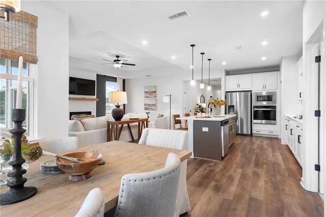 dining space with ceiling fan, plenty of natural light, dark hardwood / wood-style floors, and sink