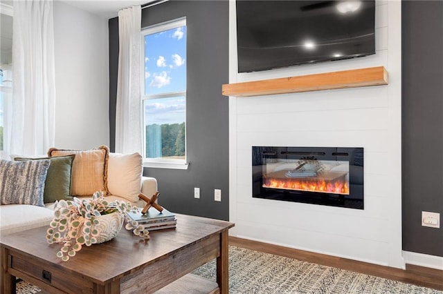 living room with hardwood / wood-style floors and a large fireplace