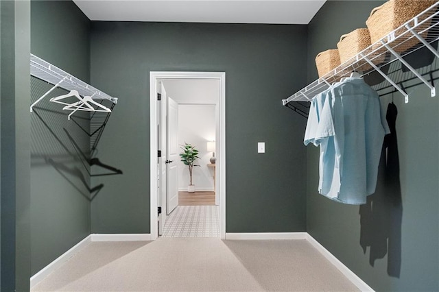 spacious closet featuring carpet floors