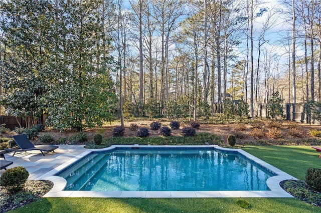 view of pool with a patio area and a lawn