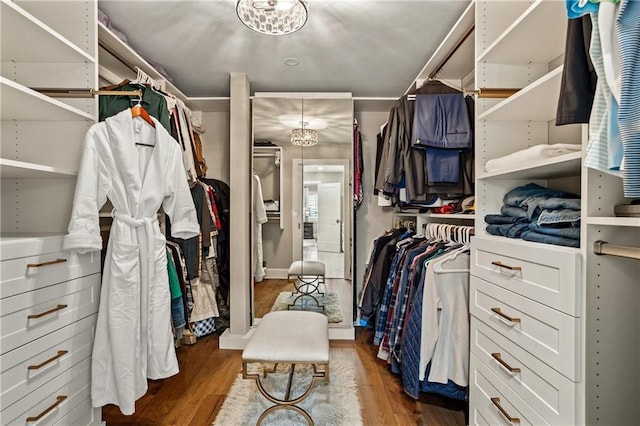 walk in closet with dark hardwood / wood-style floors