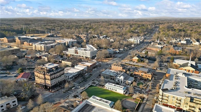 bird's eye view