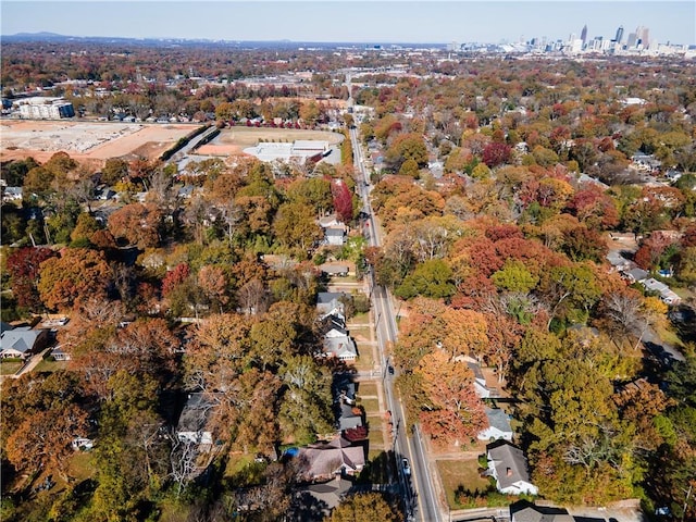 bird's eye view