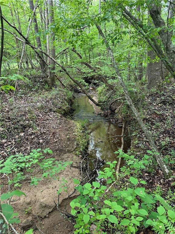 view of local wilderness