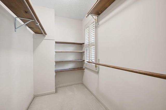 walk in closet featuring carpet floors
