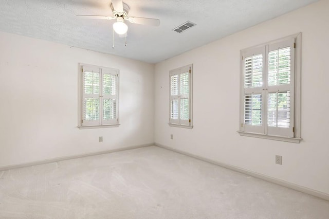 spare room with plenty of natural light, carpet flooring, and a textured ceiling