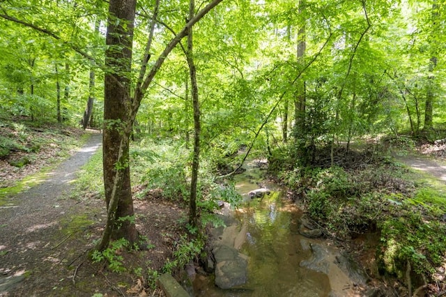 view of woods