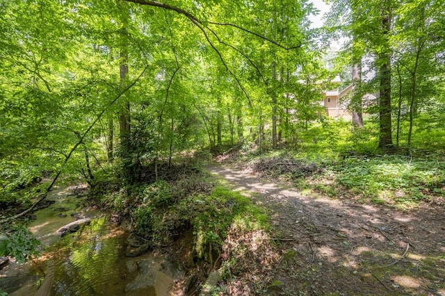 view of wooded area