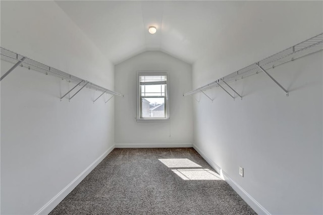 spacious closet featuring lofted ceiling and carpet floors