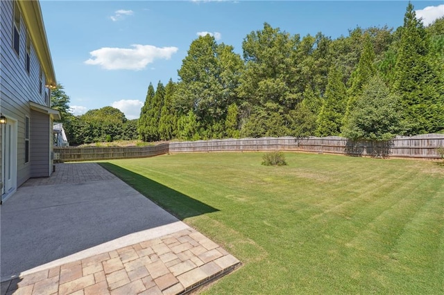 view of yard featuring a patio area and a fenced backyard