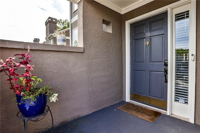 view of exterior entry featuring stucco siding