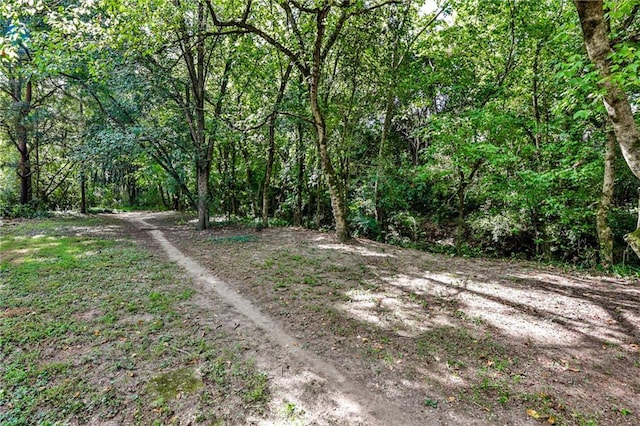 view of road featuring a wooded view