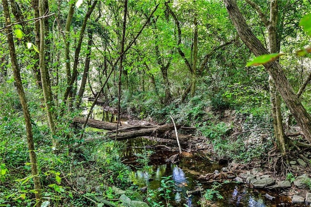 view of nature featuring a forest view