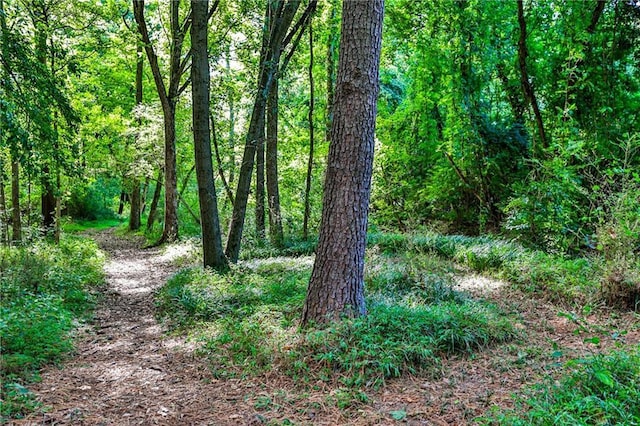 view of local wilderness with a wooded view