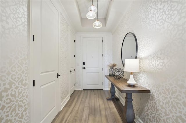 doorway featuring a tray ceiling and hardwood / wood-style flooring