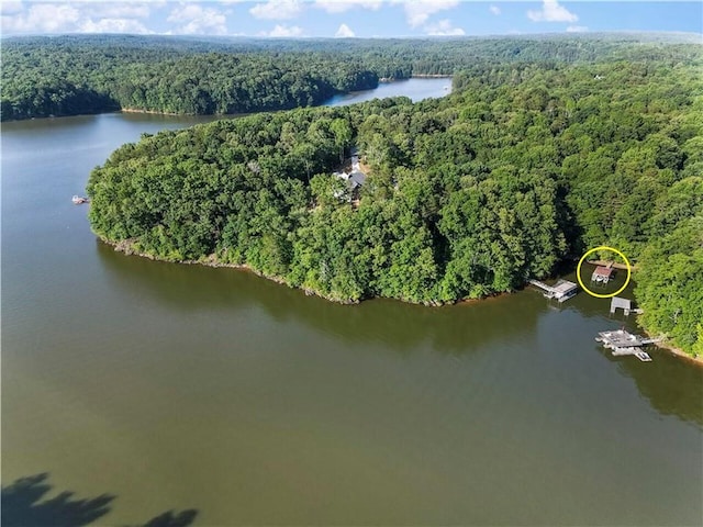 bird's eye view with a forest view and a water view