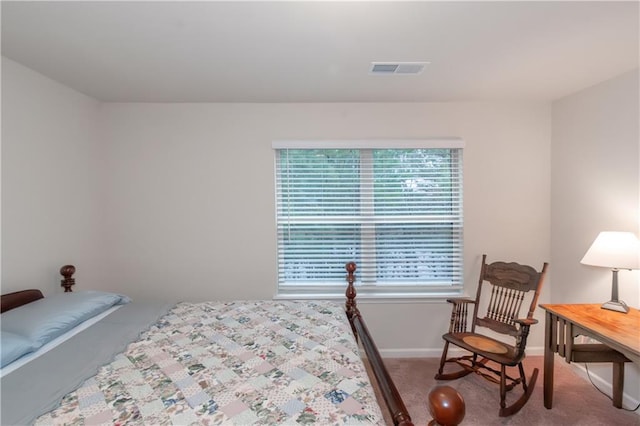 bedroom with carpet floors