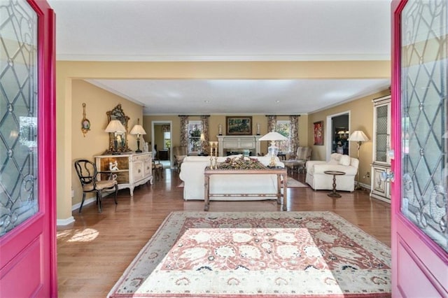 living room featuring crown molding and dark wood-type flooring