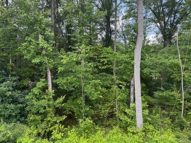 63 Aspen Way, Dallas, GA 30157 - view of woods