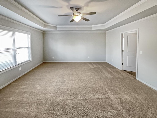 spare room with carpet floors, ceiling fan, a tray ceiling, and crown molding