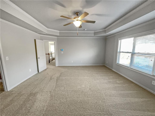 carpeted spare room featuring ceiling fan, ornamental molding, and a tray ceiling