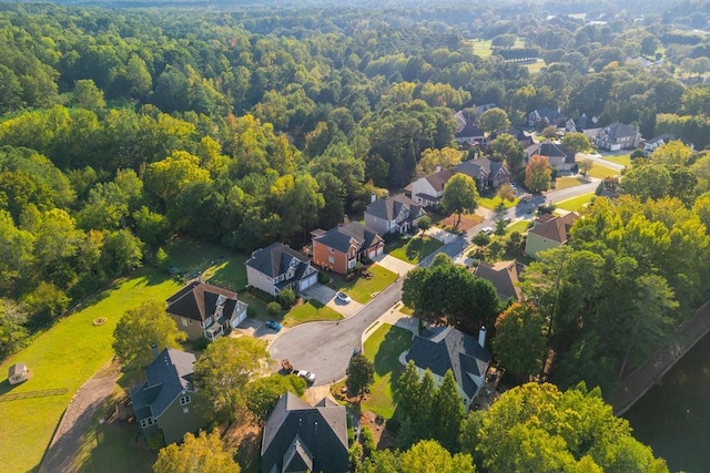 bird's eye view