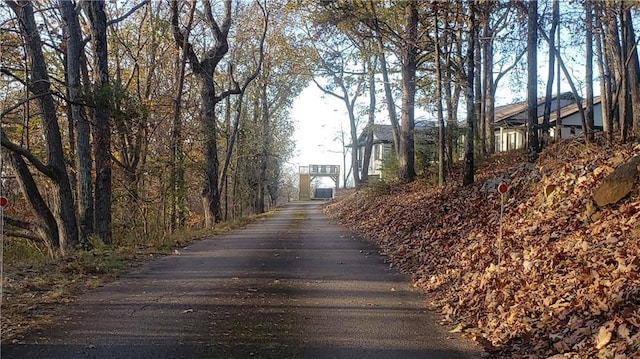 view of road featuring aphalt driveway