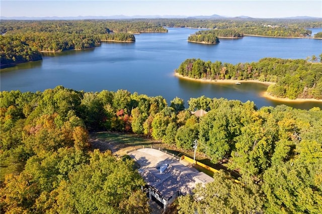 2316 Mountain Crest Pl, Gainesville, GA 30501 - aerial view of a heavily wooded area and a nearby body of water