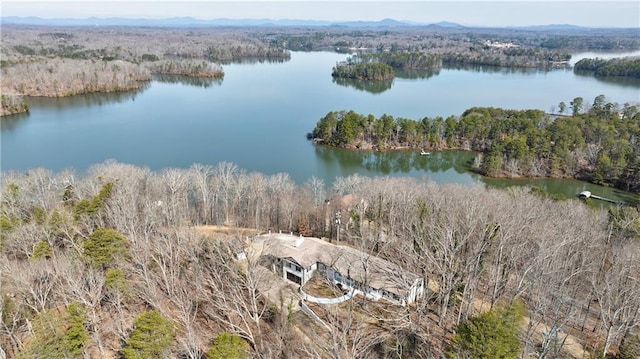 2316 Mountain Crest Pl, Gainesville, GA 30501 - aerial overview of property's location featuring a forest and a nearby body of water
