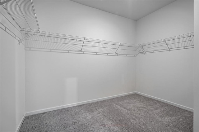 1628 Newport Dr, Bethlehem, GA 30620 - walk in closet with carpet