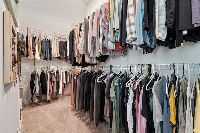 spacious closet with carpet