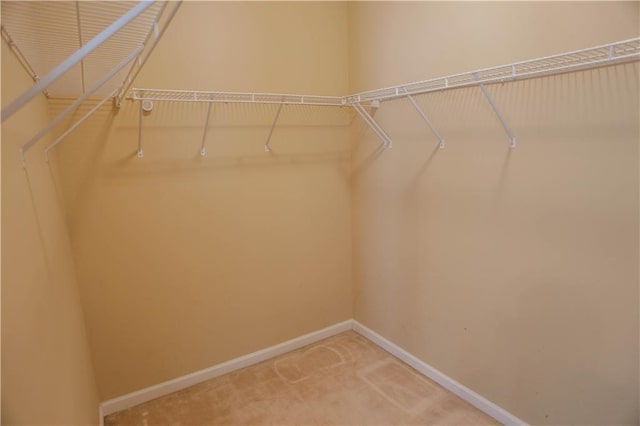 spacious closet with carpet floors