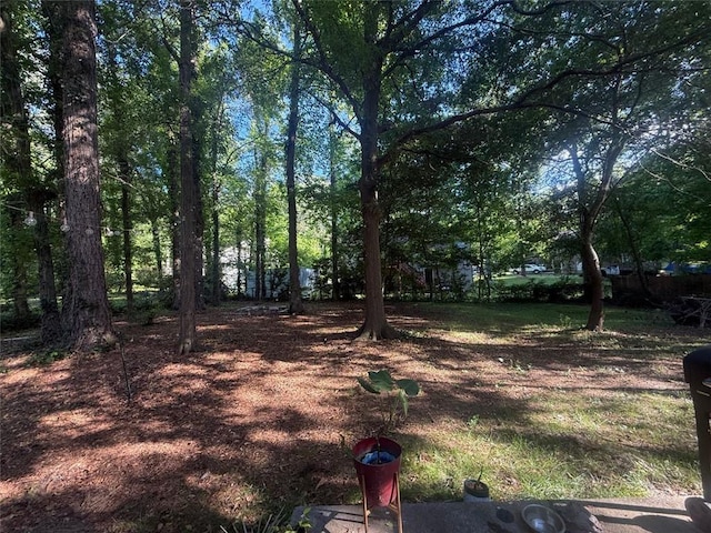 2661 Throatlatch Ln SW, Marietta, GA 30064 - view of yard